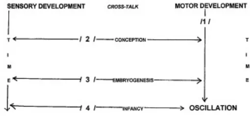 Gambar 4. Model perkembangan menyatakan interupsi patofisiologik dari sistem perkembangan