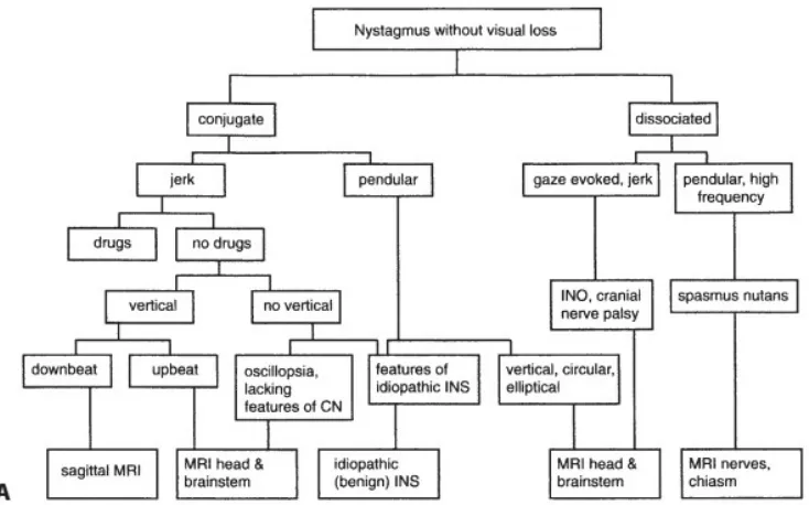 Gambar 5. Algoritma untuk evaluasi nistagmus tanpa penurunan visus. CN: congenital