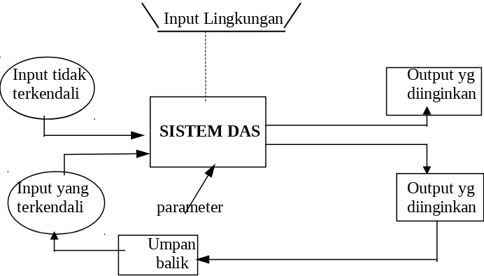 Gambar  3. Diagram kotak-hitam I/O sistem DAS 