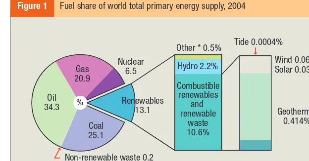 Figure 1Fuel share of world total primary energy supply, 2004