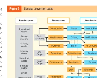 Figure 3Biomass conversion paths