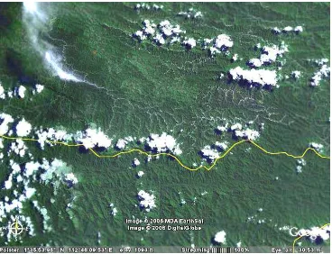 Figure 5. Satellite picture of the Kalimantan – Malaysia border area 