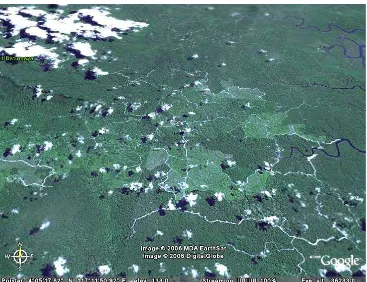 Figure 7. Satellite picture of Sambas district, West Kalimantan. 