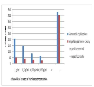 Figure 1. Salmonella typhi and 
