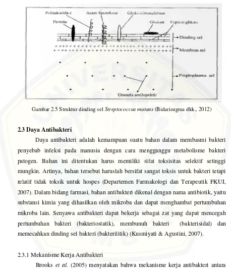 Gambar 2.5 Struktur dinding sel Streptococcus mutans (Bidarisugma dkk., 2012)