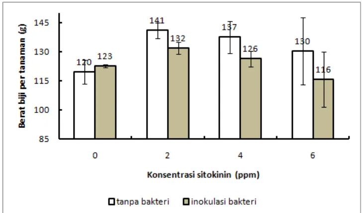Gambar 4. Pengaruh interaksi bakteri  Synechococcus sp. dan konsentrasi sitokinin terhadap berat biji kedelai per tanaman  