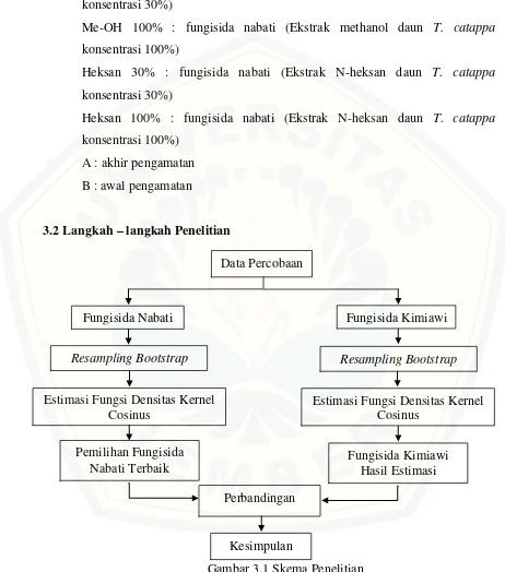 Gambar 3.1 Skema Penelitian 