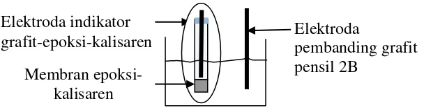 Gambar 3.3 Desain elektroda kerja grafit-epoksi-kaliksaren. 