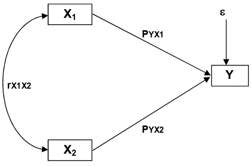 Gambar 3.2 Diagram Jalur Paradigma Penelitian