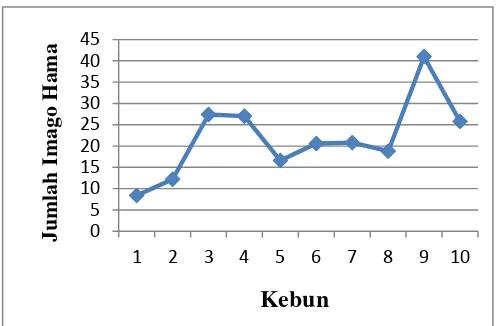 Gambar 7. Grafik rataan jumlah imago lalat buah Bactrocera spp. di desa Ajijulu di Kecamatan Tiga Panah Kab