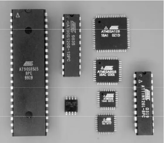Gambar 1. contoh beberapa bentuk mikrokontroller ATMEL 