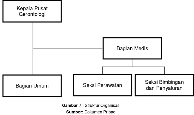 Gambar 7 : Struktur Organisasi  