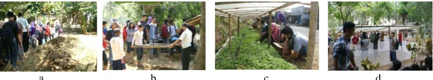 Figure 8. Leaf area of Chili grown under different composition of manure on the growing media during observation week-1 to week-4 