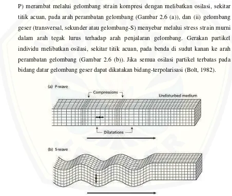 Gambar 2.6 Perubahan gerak partikel gelombang tubuh (Sumber: Bolt, 1982) 