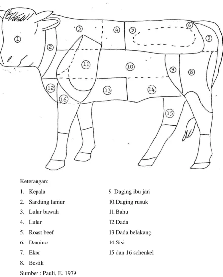 Gambar 7. BAGIAN-BAGIAN SAPI 