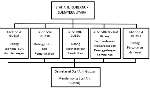 Gambar 2.3 Struktur Organisasi Staf Ahli Gubernur di Kantor Gubernur 