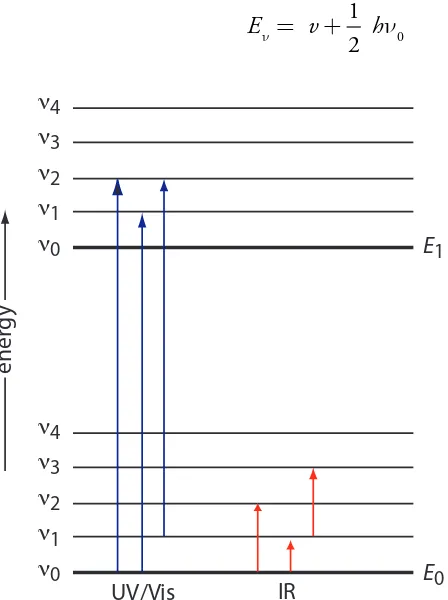 Figure 10.15 Diagram showing two electronic energy levels Absorption of ultraviolet and visible radiation leads to a change in the analyte’s electronic energy levels and, possibly, a change in vibrational energy as well