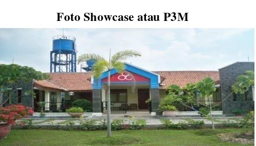 Gambar 2.1 Foto Showcase atau P3M 