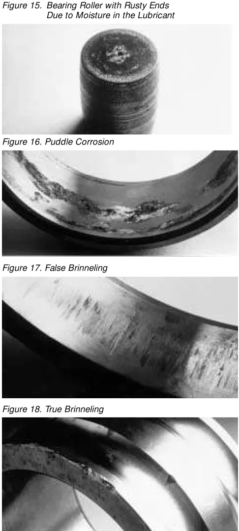 Figure 15. Bearing Roller with Rusty Ends