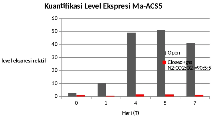 Gambar III.2. Grafik perbandingan nilai level ekspresi relatif Ma-ACS5 pada perlakuan opendan closed chamber dengan penambahan komposisi gas tertentu.