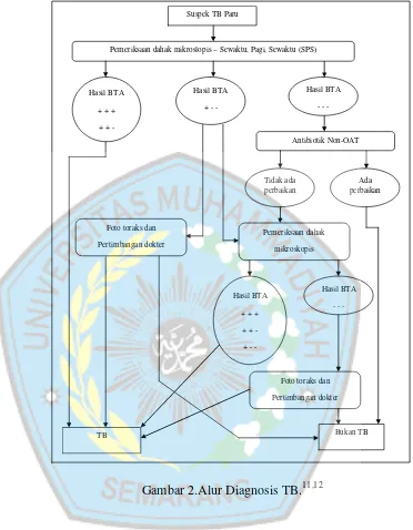 Gambar 2.Alur Diagnosis TB.11,12