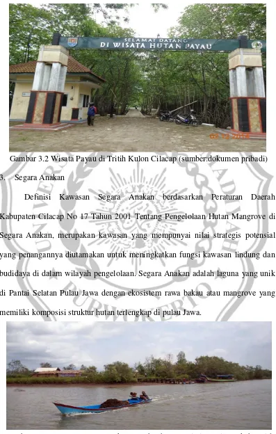Gambar 3.2 Wisata Payau di Tritih Kulon Cilacap (sumber:dokumen pribadi) 