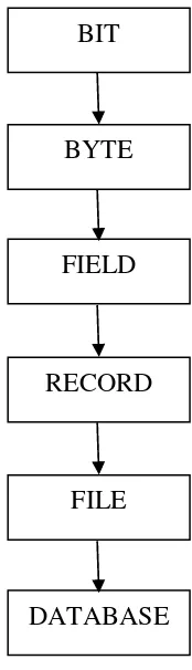 Gambar 2.1 Hierarki Data 