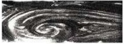 Gambar 7. Ukiran Pinati pati  yang ditemukan pada salah satu bagian rumah orang Tolaki