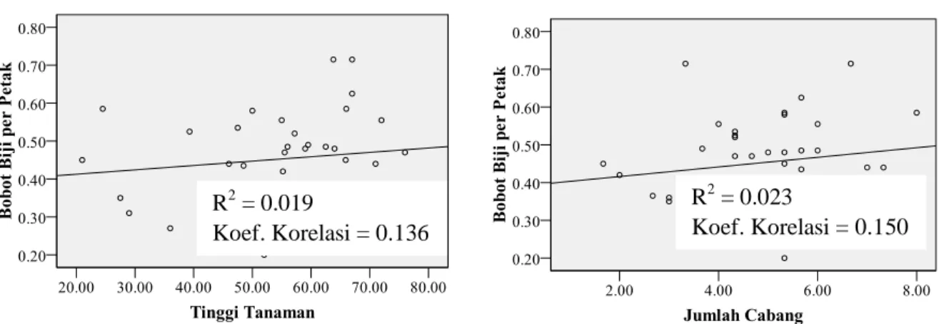 Gambar  1.  Kurva Hubungan Karakter Tinggi Tanaman (cm), dan Jumlah Cabang (buah)  dengan Bobot Biji per petak (kg) 
