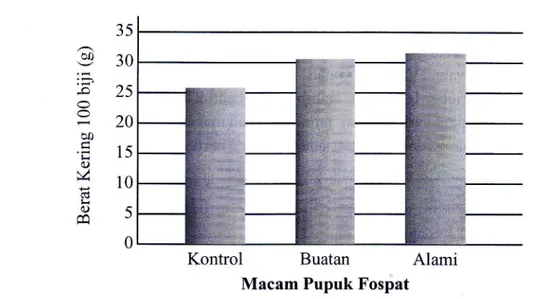 Gambar  l.  Pengaruh  macam  pupuk  fospat  terhadap  berat  kering  100  brji  (g) Tabel  I  menunjukan  bahwa  jumlah  bunga  yang  dihasilkan  perlakuan