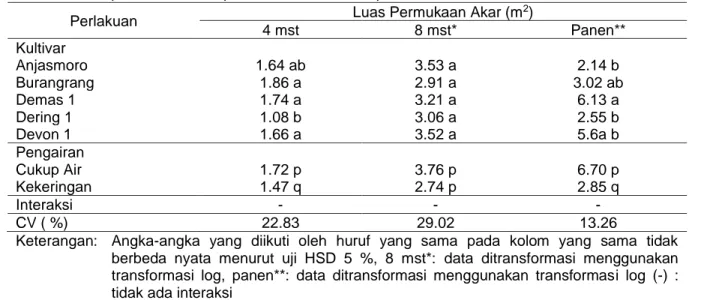 Tabel 7. Luas permukaan akar pada 4 mst, 8 mst dan panen 