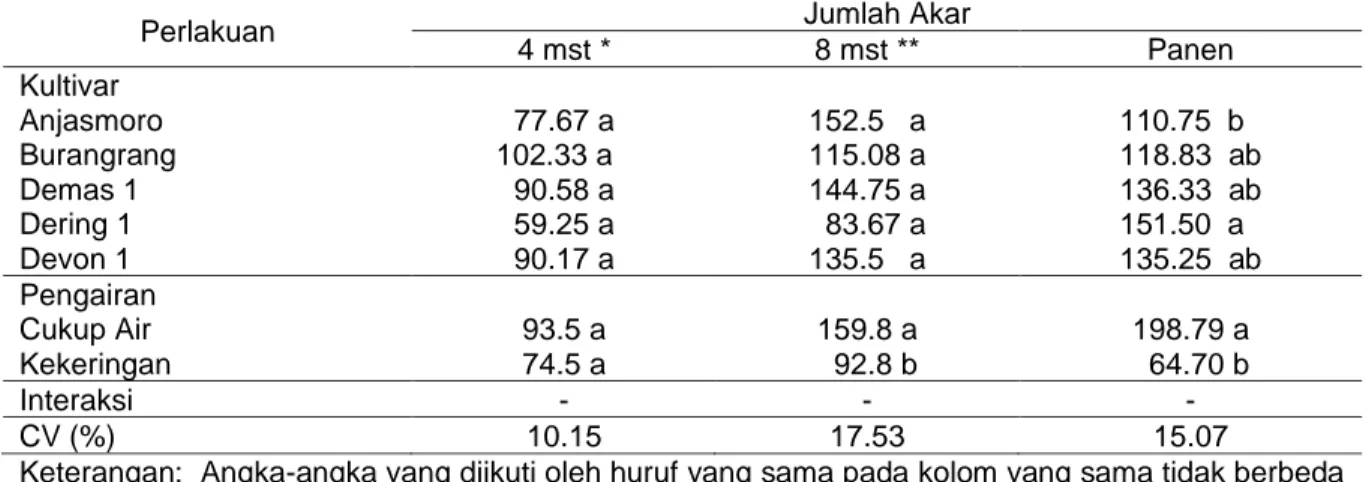 Tabel 2. Jumlah akar pada 4 mst, 8 mst dan panen 