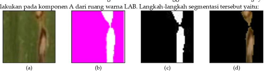Gambar 4. Contoh segmentasi lesi menggunakan metode Otsu: (a) Citra asli; (b) Citra LAB; (c) Citra segmentasi menggunakan teknik thresholding komponen “A”; dan (d) Citra RGB hasil segmentasi 
