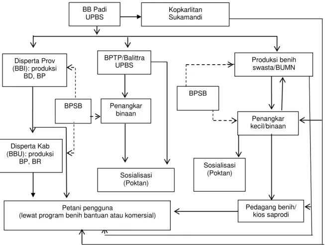 Gambar 4. Bagan alur produksi dan distribusi benih VUB-PTR di Indonesia, 2015 Produksi benih swasta/BUMN Penangkar kecil/binaan  Pedagang benih/ kios saprodi Petani pengguna 