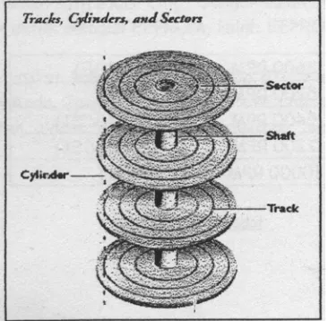 Gambar 2.2 Tracks, Cylinders, Sectors 