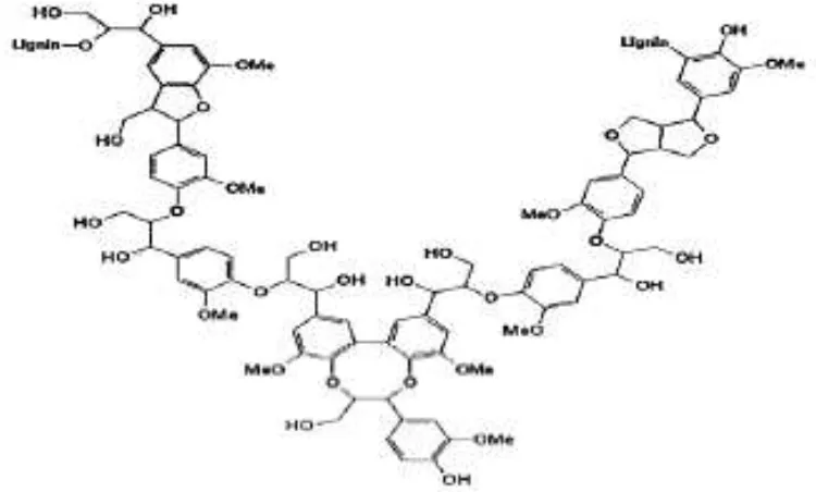 Gambar 4. Struktur molekul ligninSumber  : (Sungai, 2009) 
