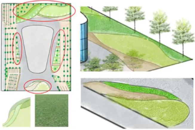 Gambar 21. Rumput  SIMPULAN 