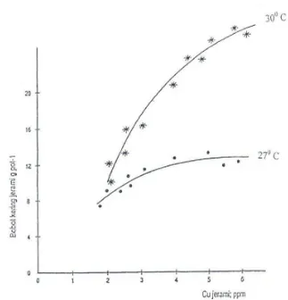 Gambar V.1. Hubungan antara bobot kering jerami dan Cu jerami tanaman gandum yang ditanam pada dua suhu percobaan selama 6 minggu