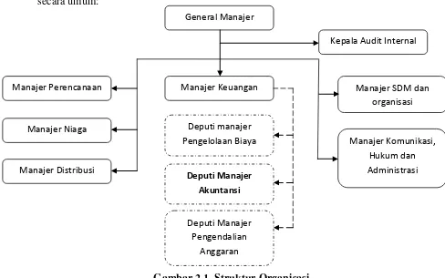 Gambar 2.1  Struktur Organisasi  
