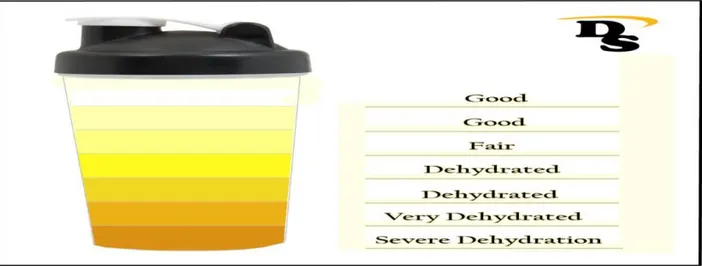 Tabel 1 Kriteria warna urin 