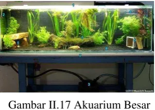 Gambar II.16 Akuarium Simpel 