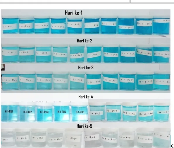 Gambar  8. Hasil  degradasi  larutan  metilen  biru dari  hari ke-1 (dari kiri ke kanan) hingga  hari 
