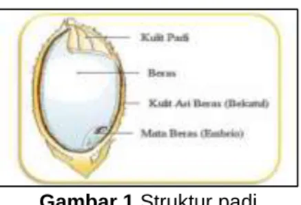 Gambar 1 Struktur padi 