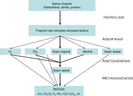 Gambar 1 Tahapan proses pembentukan biogas  (Boenke et al, 1993)  Tabel 3  Produksi gas dan produksi metan spesifik  dari berbagai jenis substrat 
