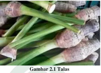 Gambar 2.1 Talas 