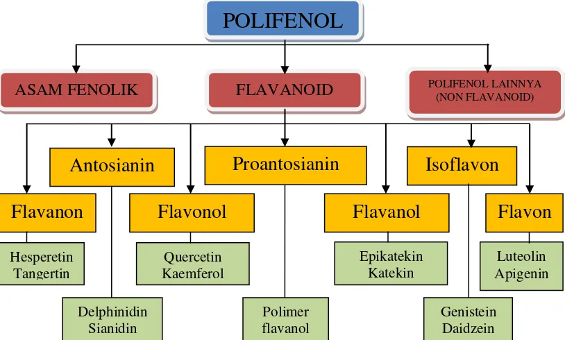 Gambar 2.2  Pembagian kelas polifenol (Sumber: Murphy et al, 2003) 