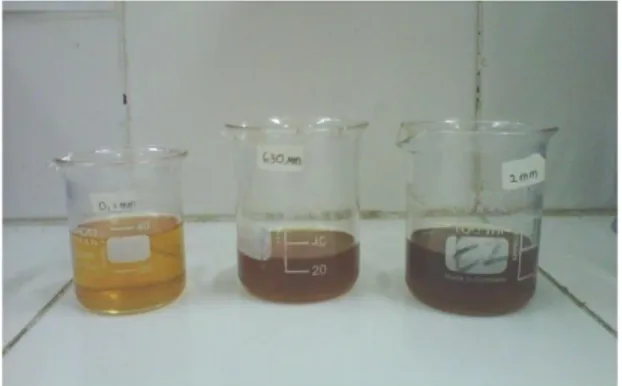Gambar 7. Hasil Biodiesel 