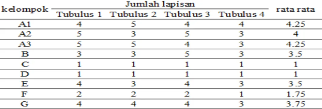 Tabel 3. Hasil pengamatan jumlah lapisan sel spermatogenik tubulus setiap kelompok. 