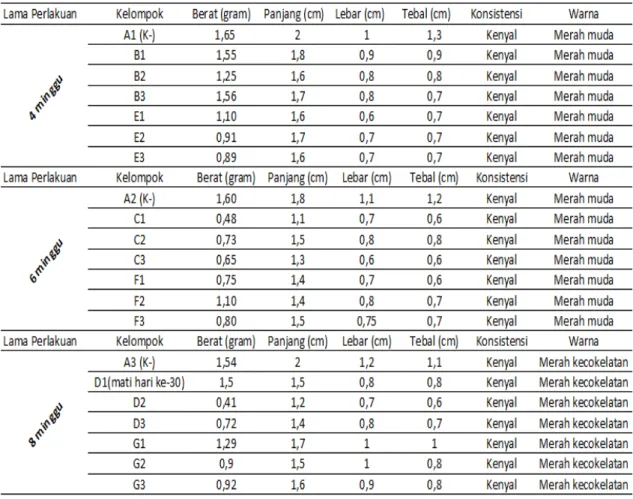 Tabel 1. Data pengukuran testis saat otopsi wistar kelompok kontrol (K-) dan kelompok  perlakuan