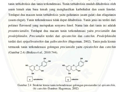 Gambar 2.4  Struktur kimia tanin terkondensasi golongan prosianidin (a) epicatechin, 